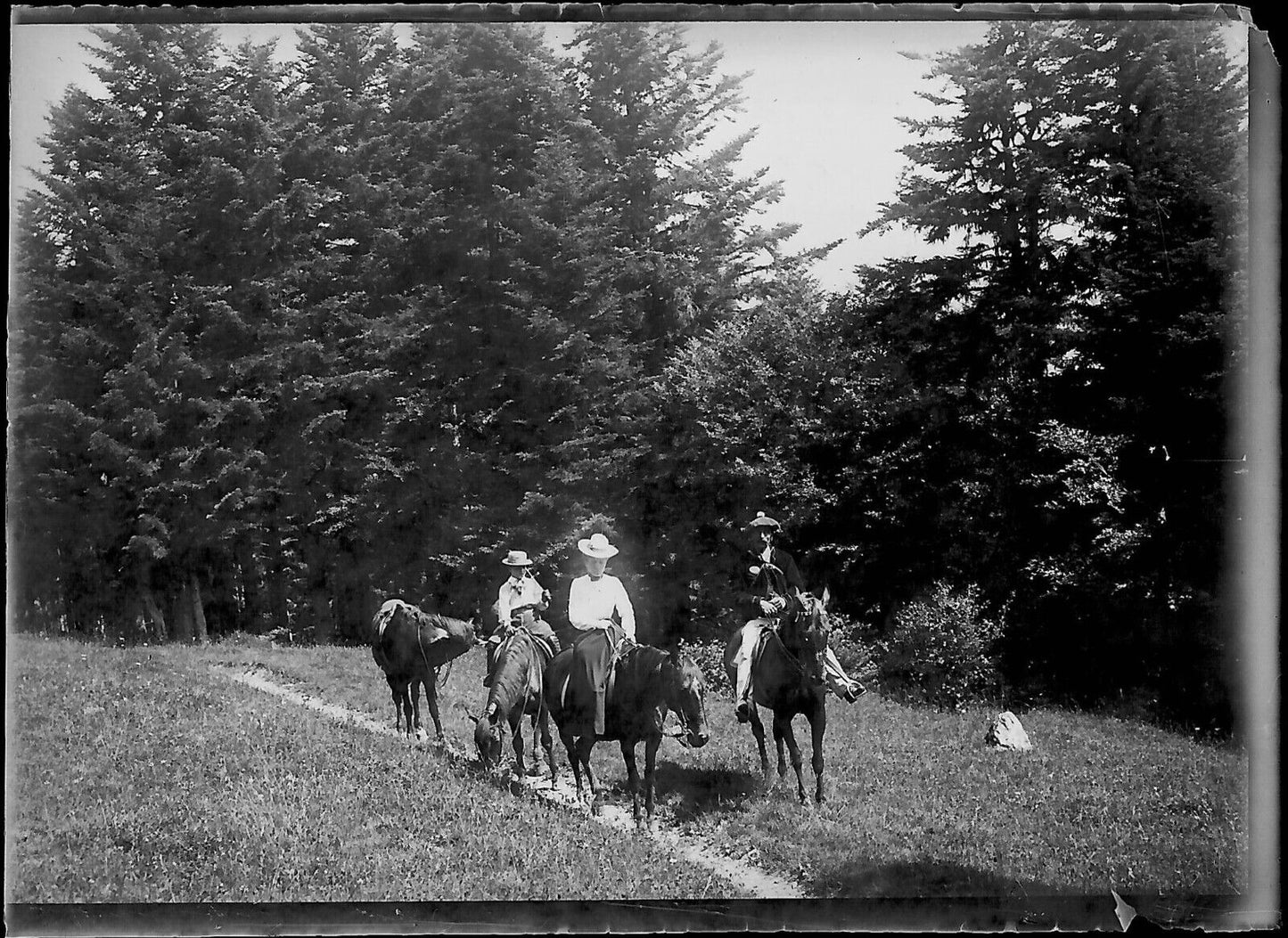 Plaque verre photo négatif noir et blanc 6x9 cm cheval montagne Luchon promenade