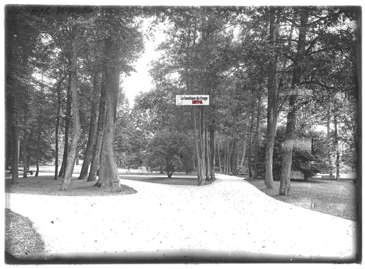 Plaque verre photo ancienne positif noir et blanc 13x18 cm Vittel parc jardin