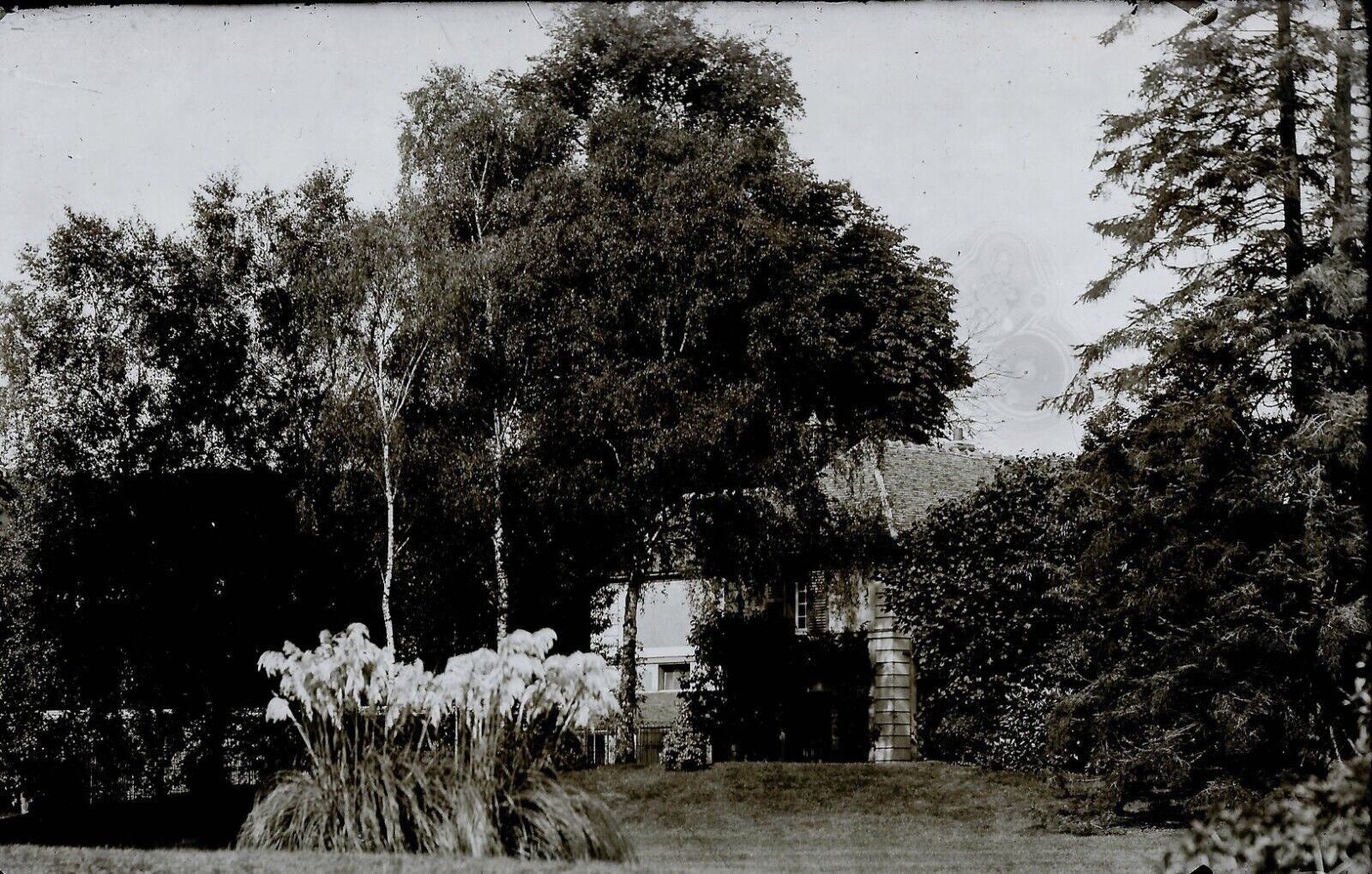 Plaque verre photo ancienne négatif 9x14 cm, noir et blanc château arbre vintage