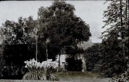 Plaque verre photo ancienne négatif 9x14 cm, noir et blanc château arbre vintage